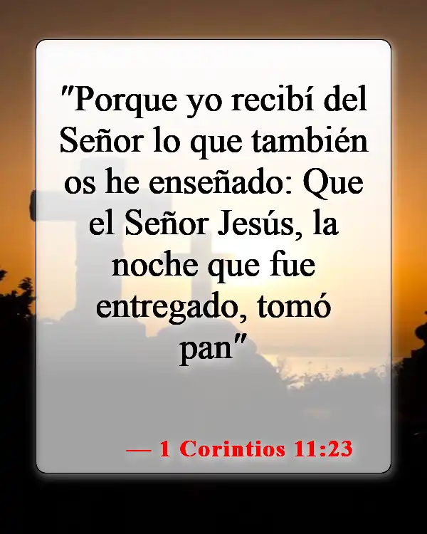 Versículos de la Biblia sobre la cobertura de la cabeza (1 Corintios 11:23)