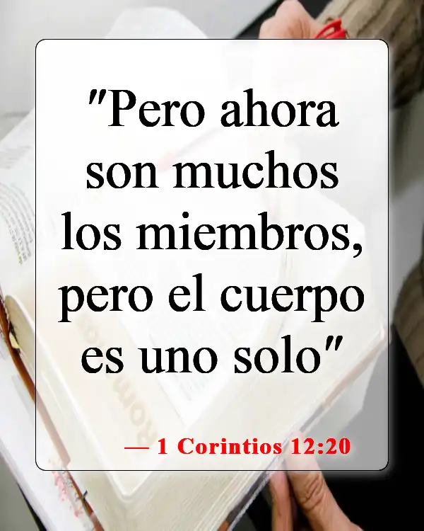 Versículos bíblicos sobre el Cuerpo de Cristo (1 Corintios 12:20)