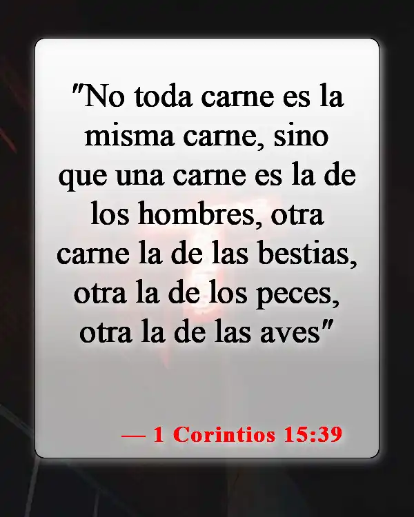 Versículos de la Biblia sobre las almas de los animales (1 Corintios 15:39)