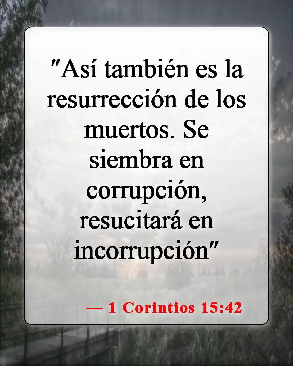 Versículos de la Biblia sobre los cuerpos glorificados (1 Corintios 15:42)