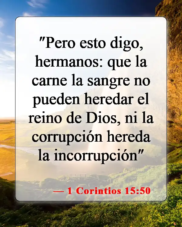 Versículos de la Biblia sobre los cuerpos glorificados (1 Corintios 15:50)