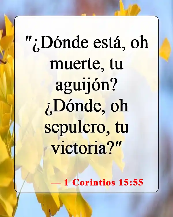 Versículos bíblicos sobre la vida después de la muerte (1 Corintios 15:55)