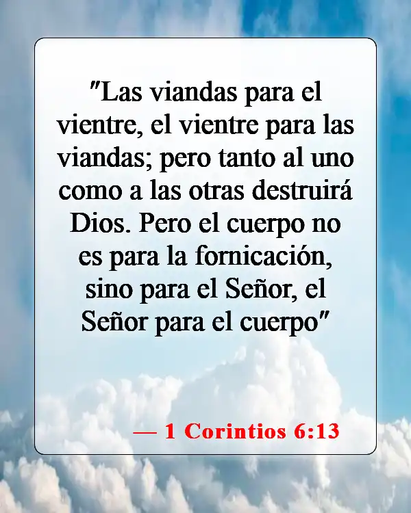 Versículos de la Biblia sobre comer animales (1 Corintios 6:13)