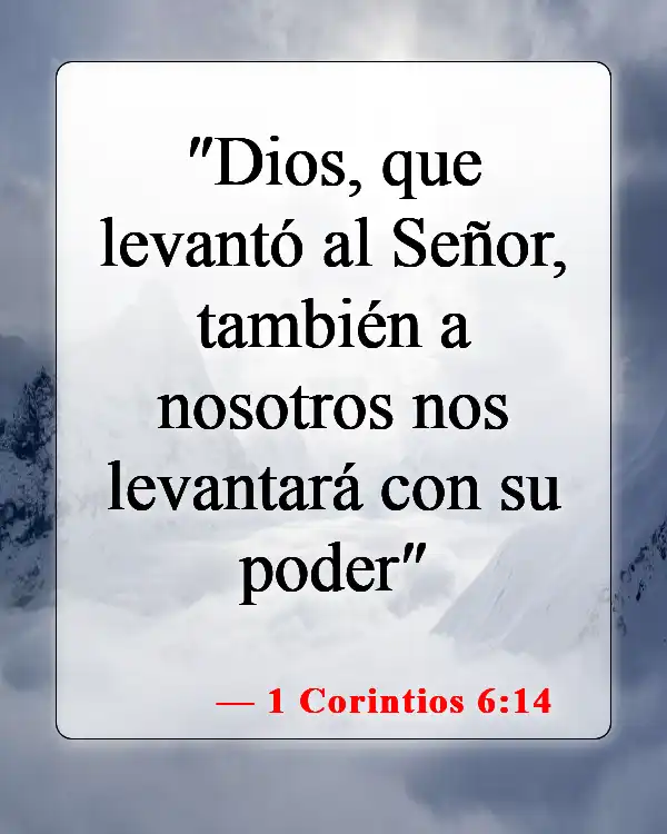 Versículos bíblicos sobre la vida después de la muerte (1 Corintios 6:14)