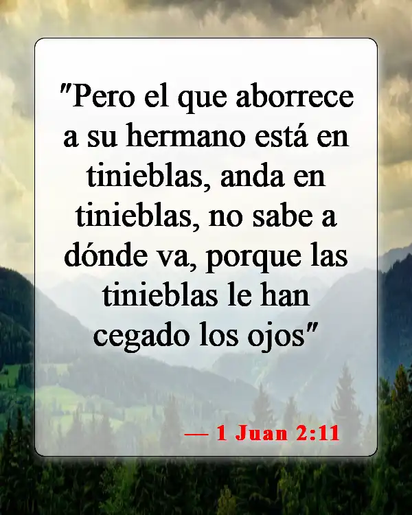 Versículos bíblicos sobre perdonar a los enemigos (1 Juan 2:11)