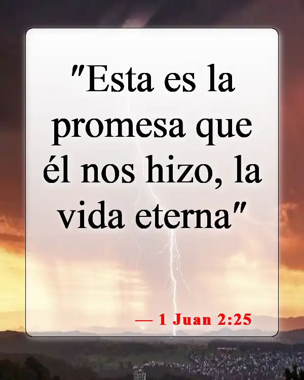 Versículos bíblicos sobre la seguridad de la salvación (1 Juan 2:25)