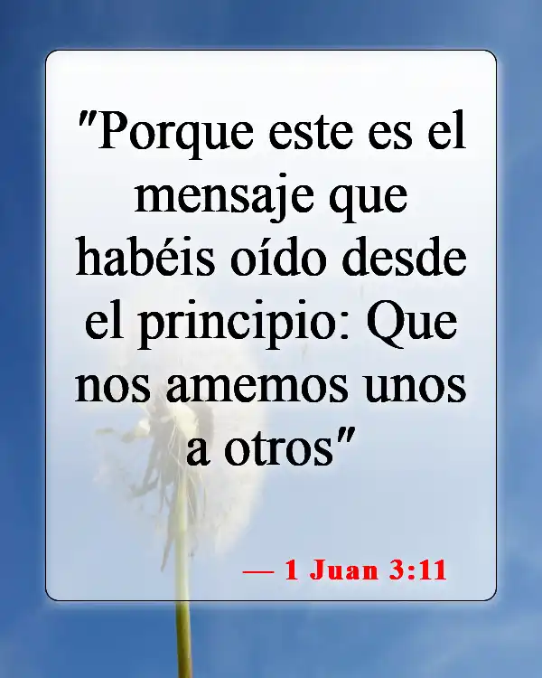 Versículos de la Biblia sobre el amor entre hermanos y hermanas (1 Juan 3:11)
