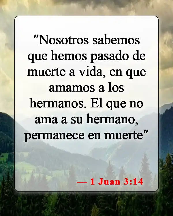 Versículos de la Biblia sobre el amor entre hermanos y hermanas (1 Juan 3:14)