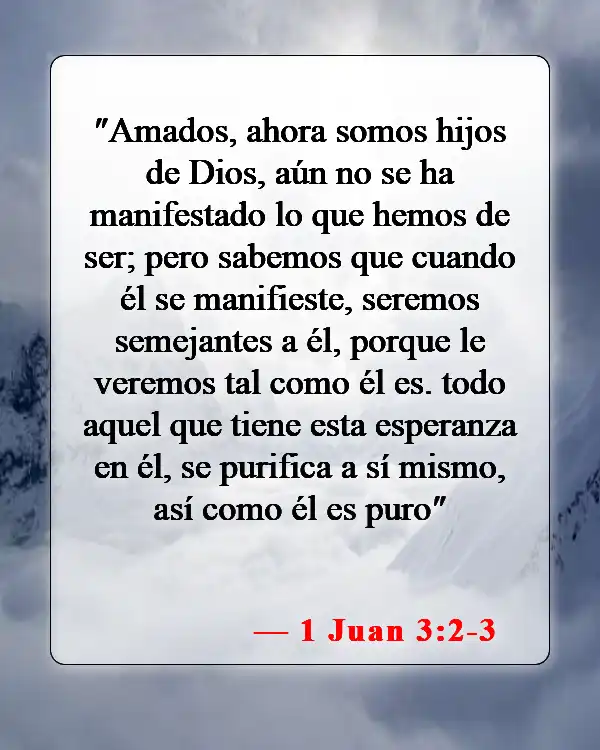 Versículos bíblicos sobre abstenerse de las drogas (1 Juan 3:2-3)