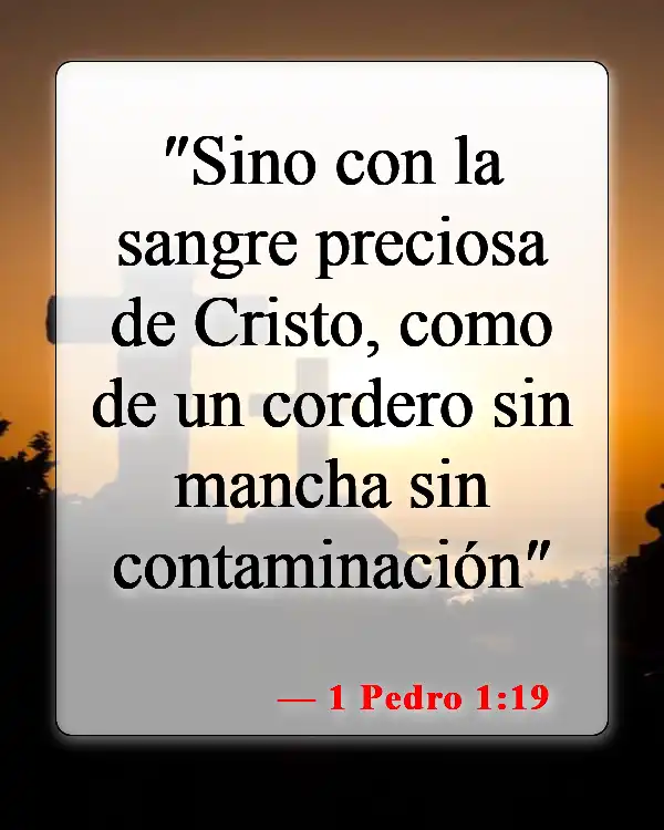 Versículos de la Biblia sobre Jesucristo (1 Pedro 1:19)