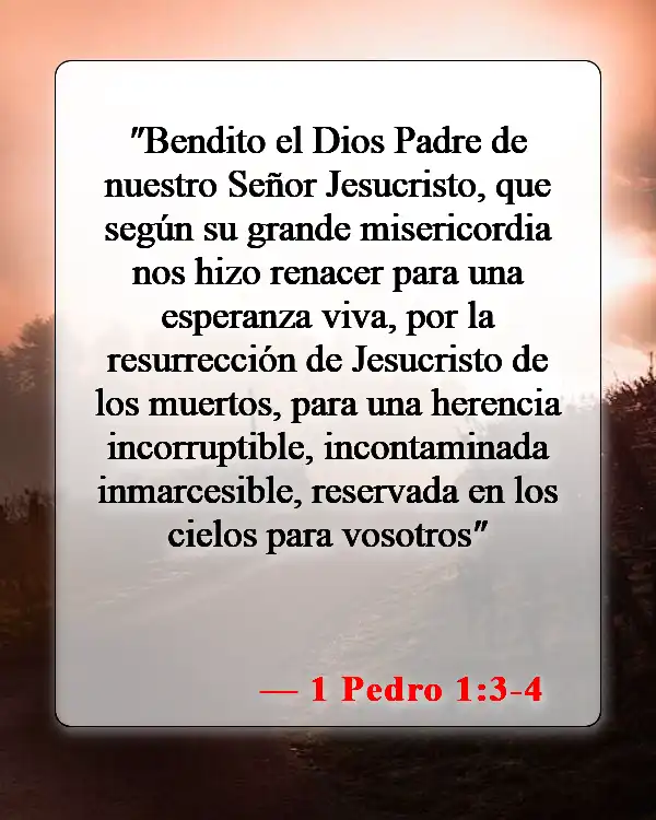 Versículos bíblicos sobre los bebés que van al cielo (1 Pedro 1:3-4)