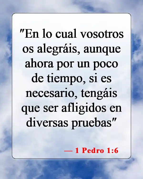Versículos de la Biblia sobre los cuerpos glorificados (1 Pedro 1:6)