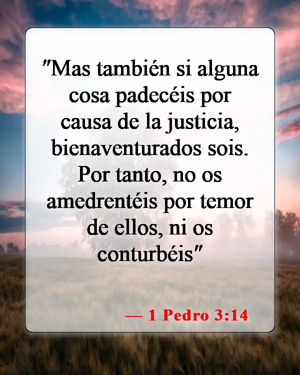 Versículos bíblicos sobre el maltrato (1 Pedro 3:14)