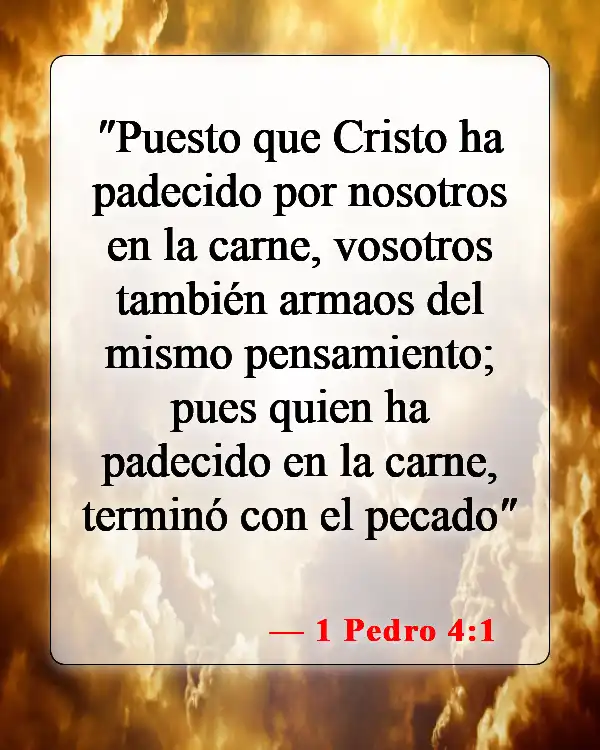 Versículos bíblicos sobre la nueva creación (1 Pedro 4:1)