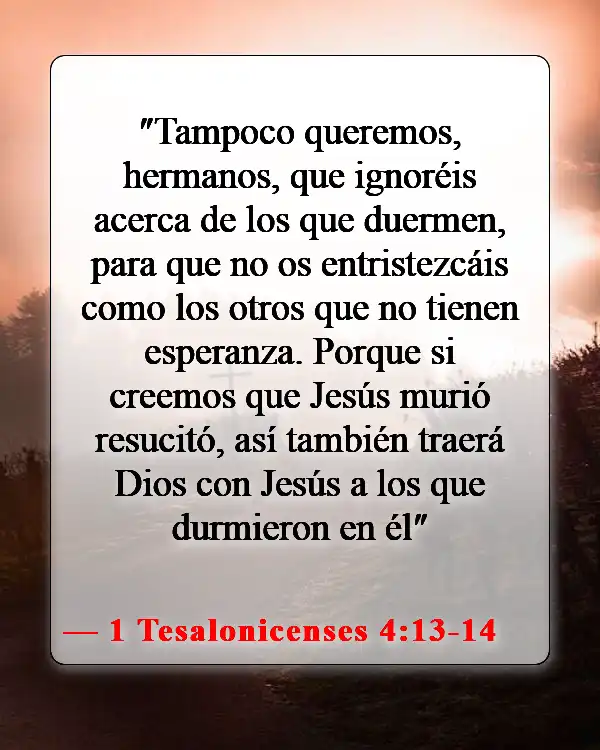 Versículos bíblicos sobre los bebés que van al cielo (1 Tesalonicenses 4:13-14)