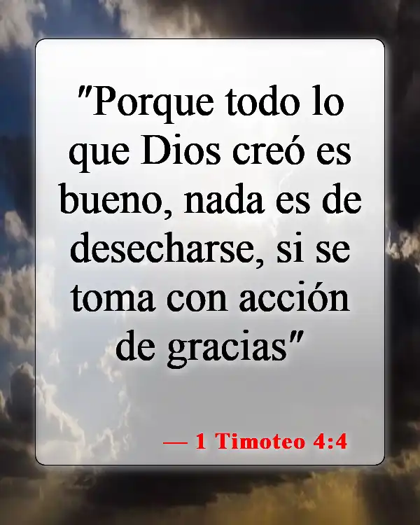 Versículos de la Biblia sobre comer animales (1 Timoteo 4:4)
