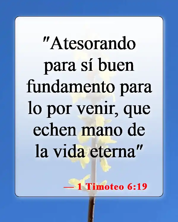 Versículos bíblicos sobre la nueva creación (1 Timoteo 6:19)