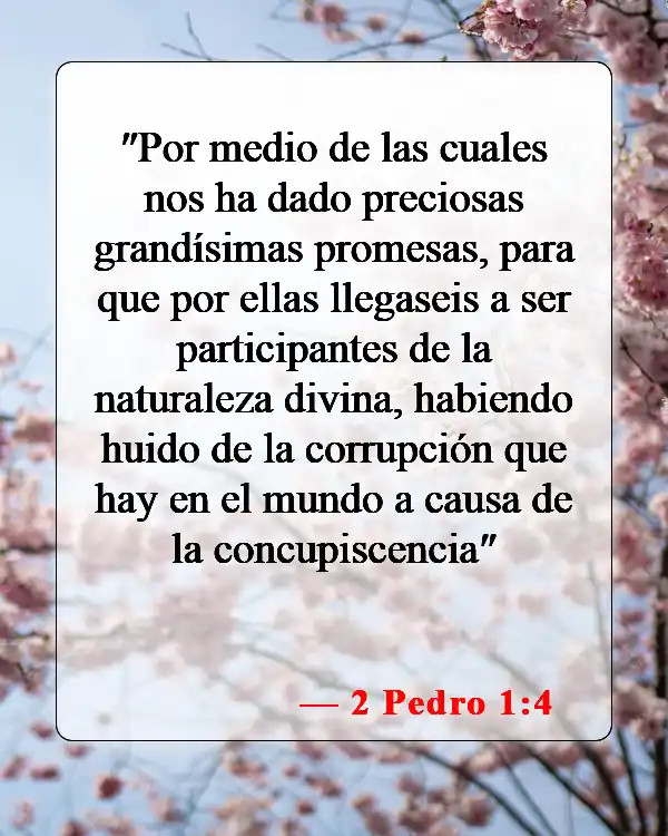 Versículos de la Biblia sobre los hijos de Dios (2 Pedro 1:4)