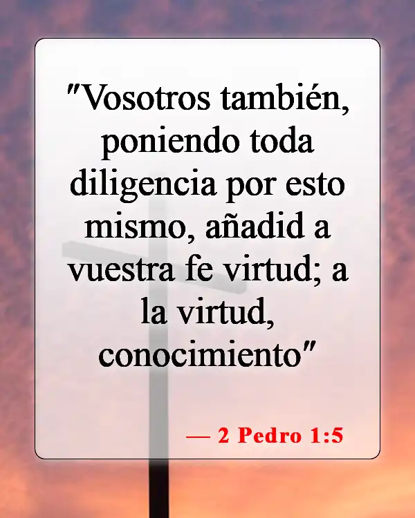 Versículos de la Biblia sobre cómo seguir a Jesús (2 Pedro 1:5)