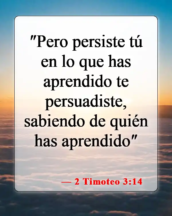 Versículos bíblicos sobre ser ejemplo para los demás (2 Timoteo 3:14)