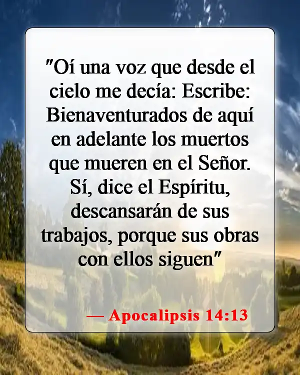 Versículos bíblicos sobre la vida después de la muerte (Apocalipsis 14:13)