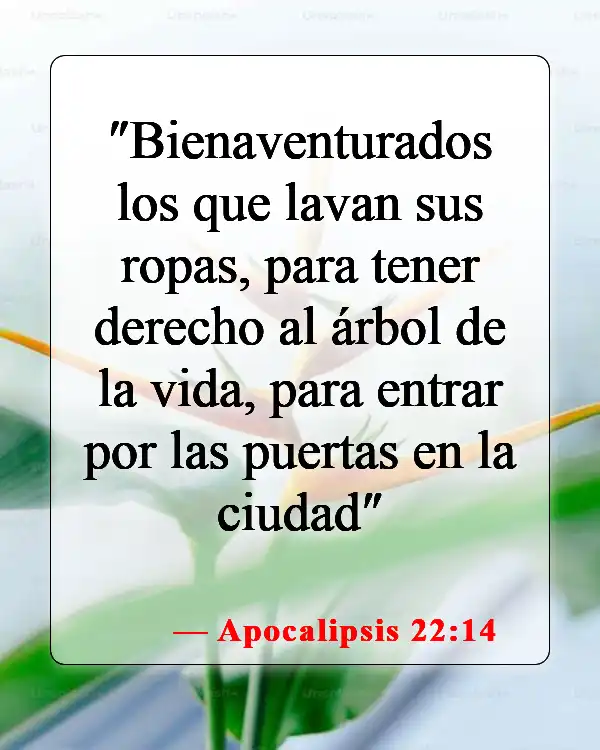 Versículos de la Biblia sobre cómo llegar al cielo (Apocalipsis 22:14)