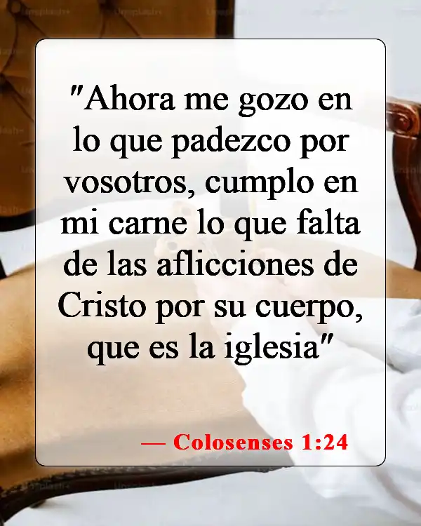 Versículos de la Biblia sobre llevar la cruz (Colosenses 1:24)