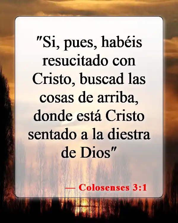 Versículos bíblicos sobre la exaltación de Cristo (Colosenses 3:1)