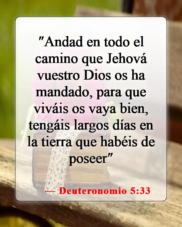 Versículos de la Biblia sobre seguir instrucciones (Deuteronomio 5:33)