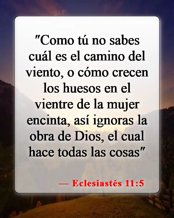 Versículos de la Biblia sobre bebés (Eclesiastés 11:5)