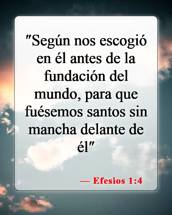 Versículos de la Biblia sobre Dios aceptándome (Efesios 1:4)