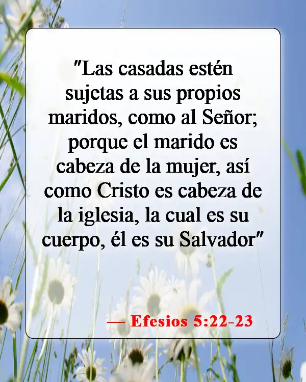 Versículos de la Biblia sobre el divorcio y el nuevo matrimonio (Efesios 5:22-23)