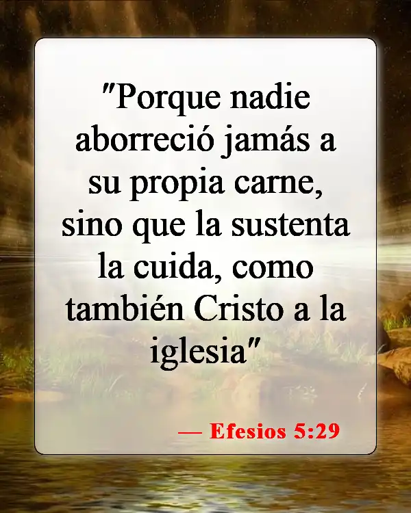 Versículos de la Biblia sobre cómo cuidar nuestros cuerpos (Efesios 5:29)