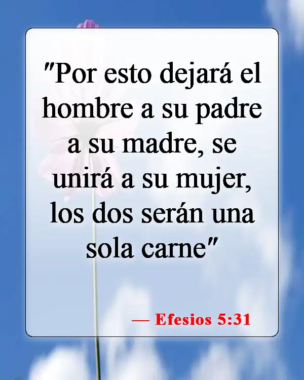 Versículos bíblicos sobre el divorcio y la separación (Efesios 5:31)