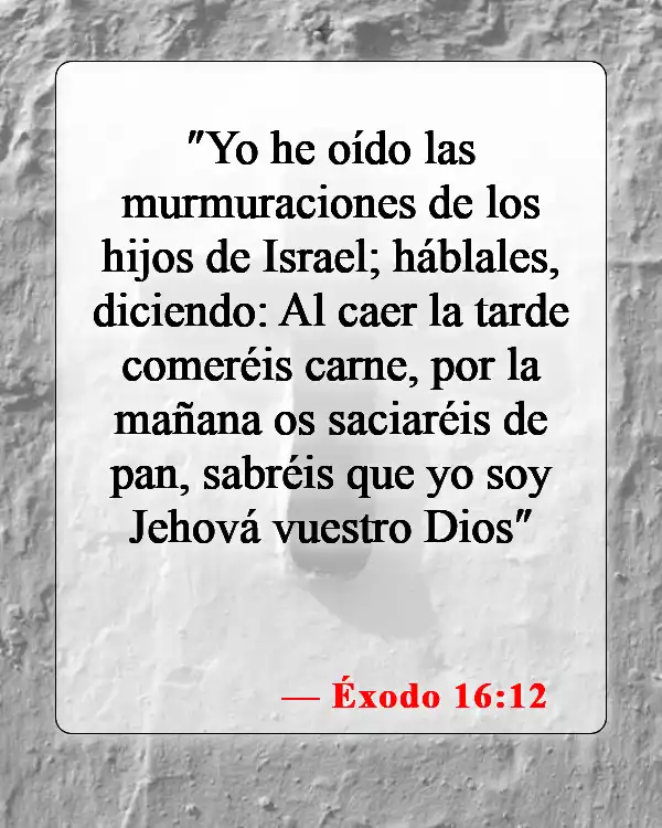 Versículos de la Biblia sobre bendecir los alimentos (Éxodo 16:12)