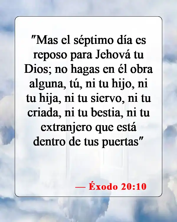 Versículos de la Biblia sobre el cuidado de los animales (Éxodo 20:10)