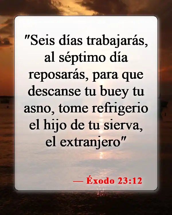 Versículos de la Biblia sobre la crueldad hacia los animales (Éxodo 23:12)