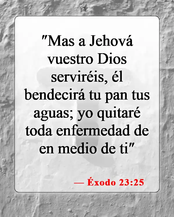 Versículos de la Biblia sobre bendecir a alguien (Éxodo 23:25)