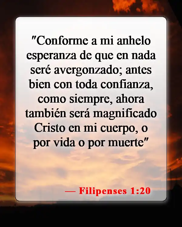 Versículos bíblicos sobre honrar a Dios (Filipenses 1:20)