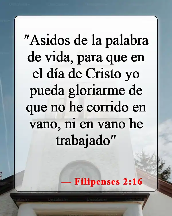 Versículos de la Biblia sobre jactarse (Filipenses 2:16)