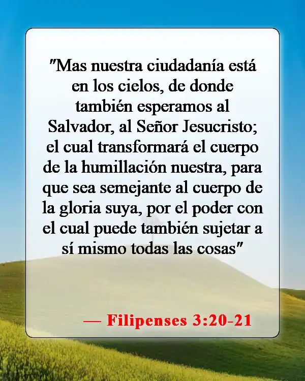 Versículos bíblicos sobre bebés yendo al cielo (Filipenses 3:20-21)