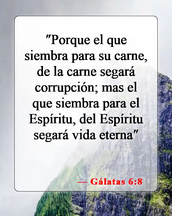 Versículos bíblicos sobre malos hábitos (Gálatas 6:8)
