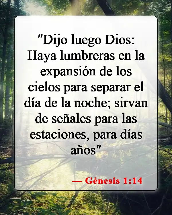 Versículos de la Biblia sobre la creación del mundo en 7 días (Génesis 1:14)