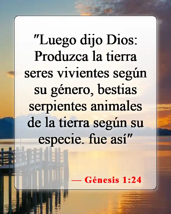Versículos bíblicos sobre la evolución (Génesis 1:24)
