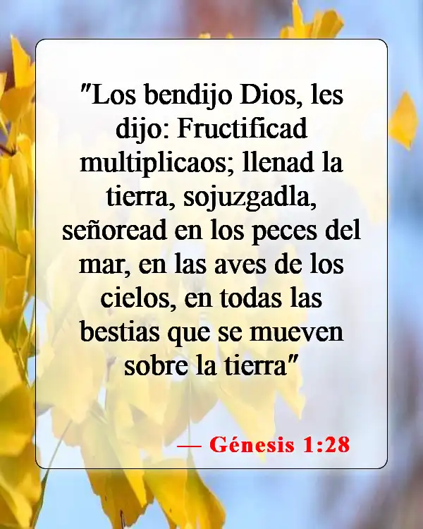 Versículos de la Biblia sobre el equilibrio entre el trabajo y la familia (Génesis 1:28)