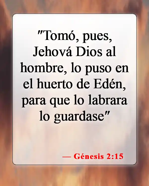 Versículos de la Biblia sobre el trabajo del hombre (Génesis 2:15)
