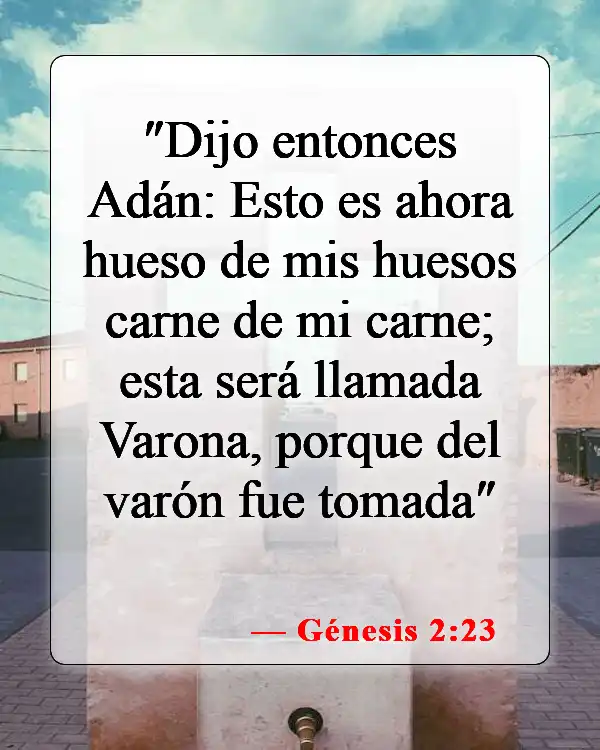 Versículos de la Biblia sobre el esposo y la esposa (Génesis 2:23)
