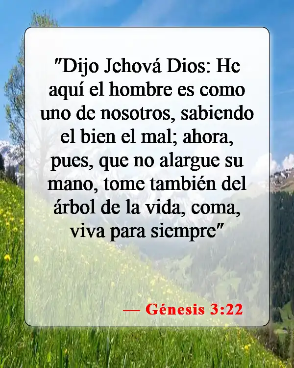 Versículos de la Biblia sobre la creación y la caída (Génesis 3:22)