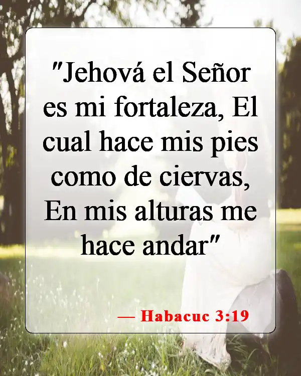Versículos de la Biblia sobre la aventura (Habacuc 3:19)