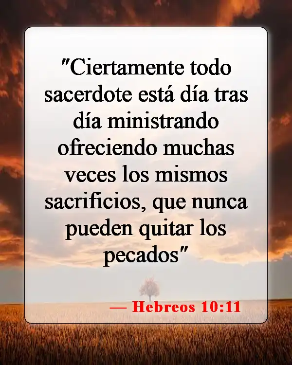 Versículos de la Biblia sobre sacrificios de animales (Hebreos 10:11)